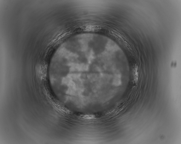 X0000094810554200712141624