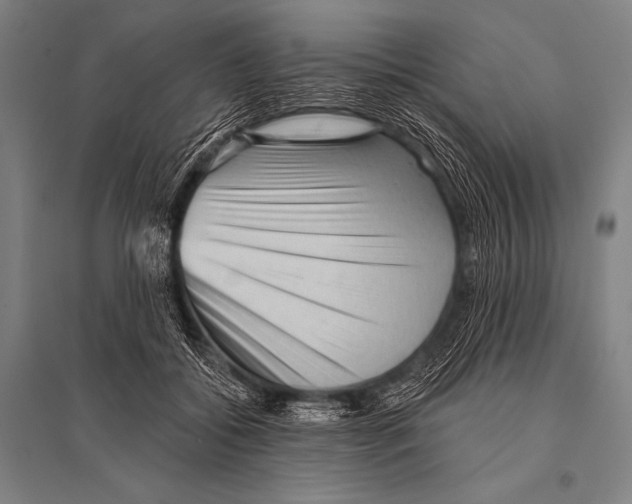 X0000094810556200712141624