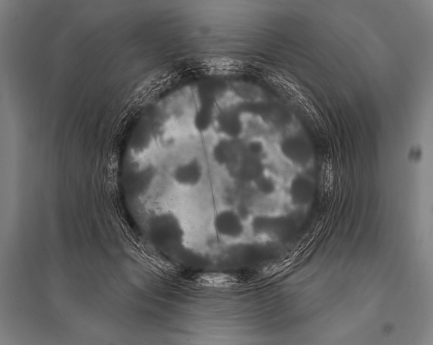 X0000094810557200712141624