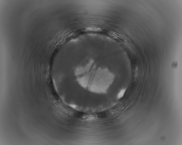 X0000094810559200712141624