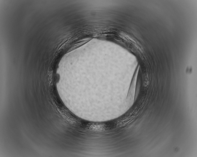 X0000094810560200712141624