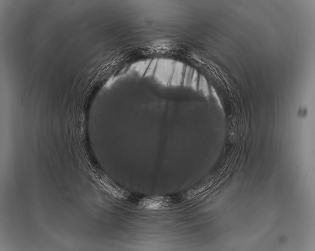 X0000094810563200712141624