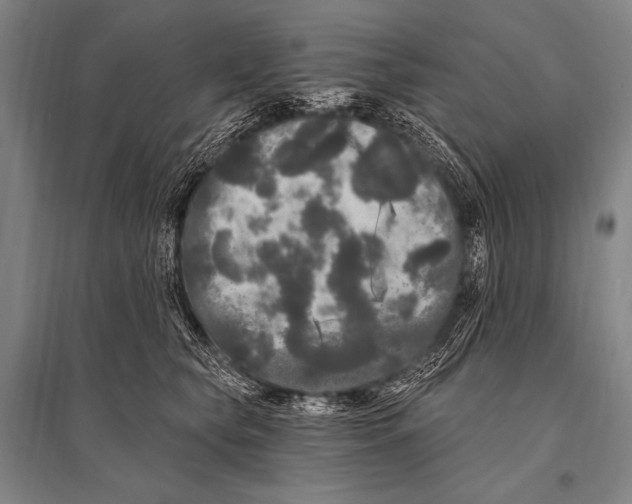 X0000094810565200712141625