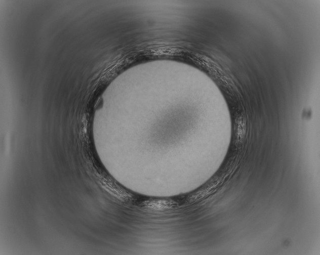 X0000094810567200712141625