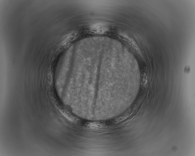 X0000094810568200712141625