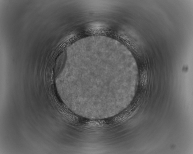 X0000094810571200712141625