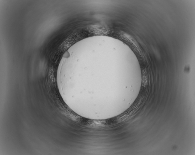 X0000094810573200712141625