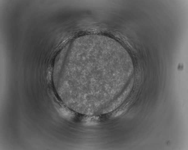 X0000094810576200712141625