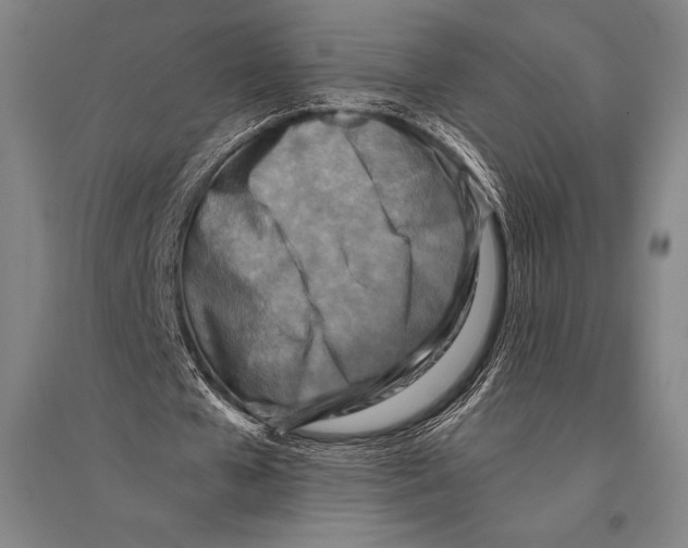 X0000094810577200712141624