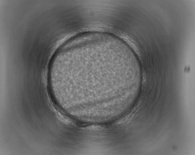 X0000094810578200712141624