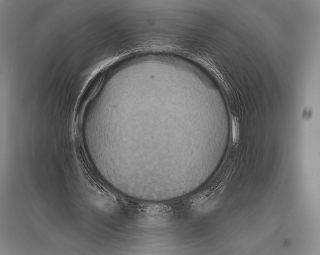 X0000094810579200712141624