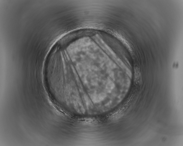 X0000094810580200712141624