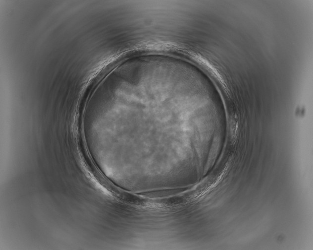 X0000094810581200712141624