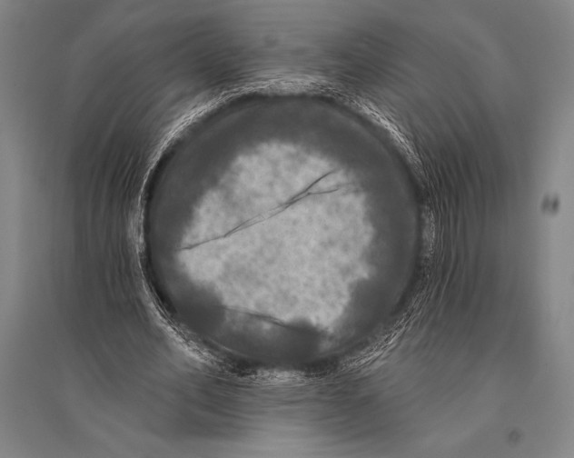 X0000094810582200712141624