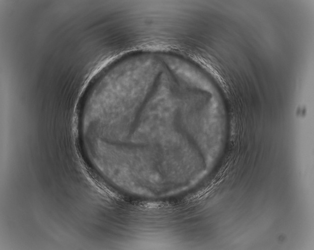 X0000094810584200712141624