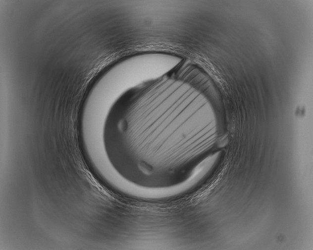 X0000094810585200712141624