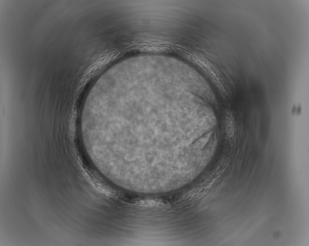 X0000094810586200712141624