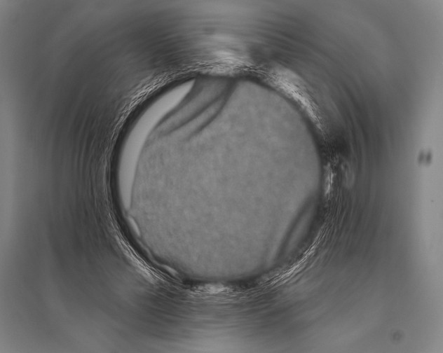 X0000094810589200712141624