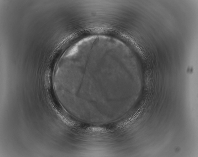 X0000094810590200712141624