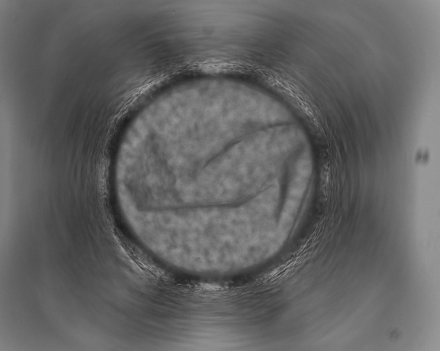 X0000094810592200712141624