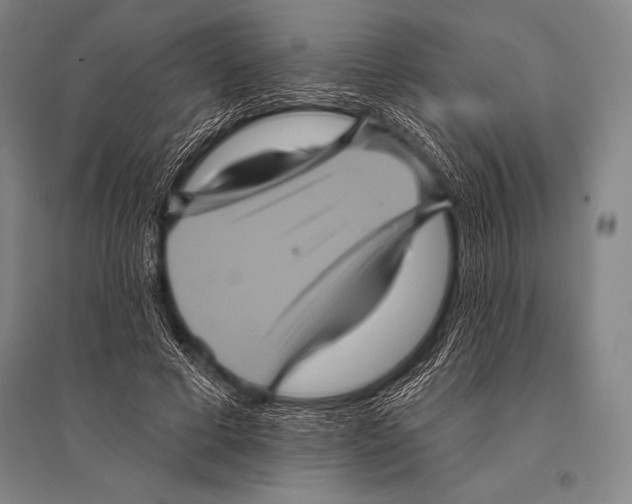 X0000094810593200712141624