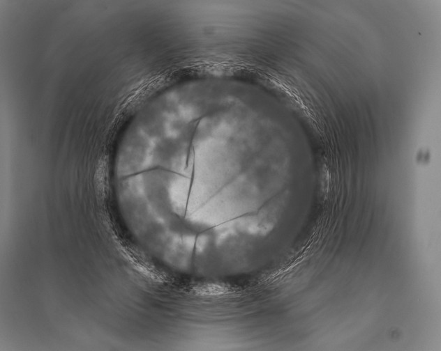 X0000094810594200712141624