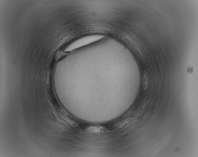 X0000094810595200712141624