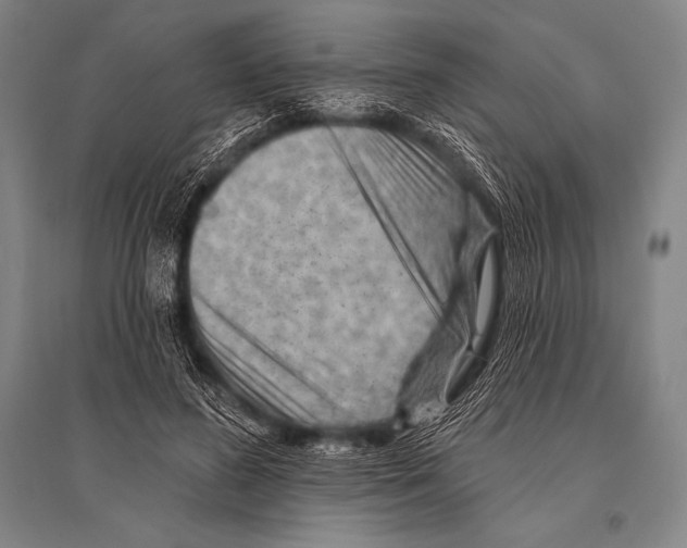 X0000094810596200712141624