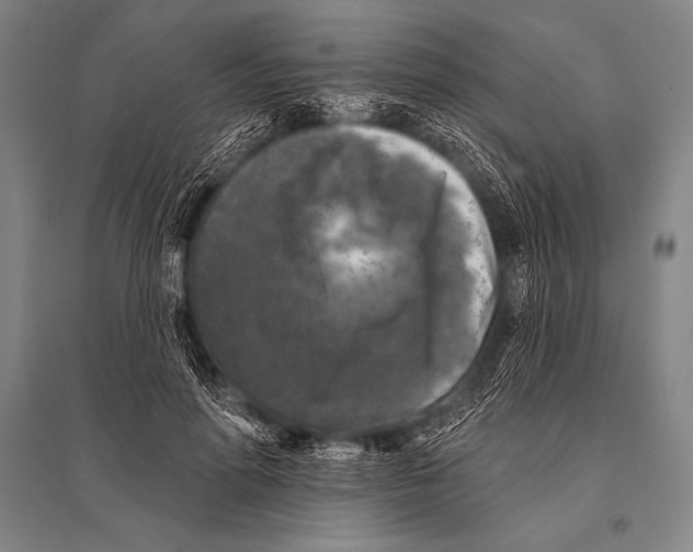 X0000094810598200712141624