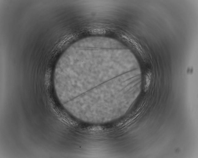 X0000094810600200712141624