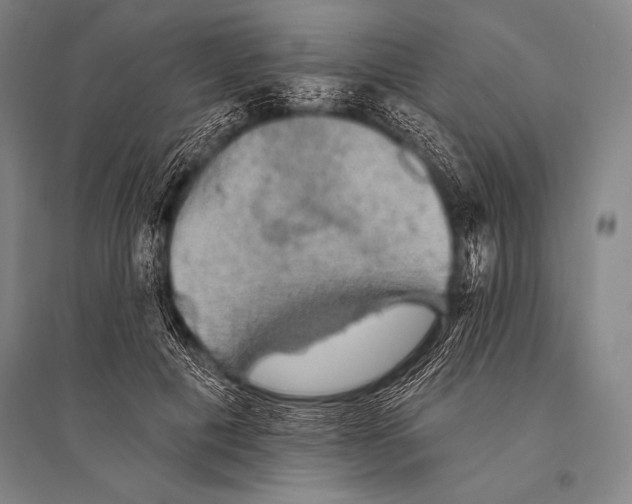 X0000094810601200712141624