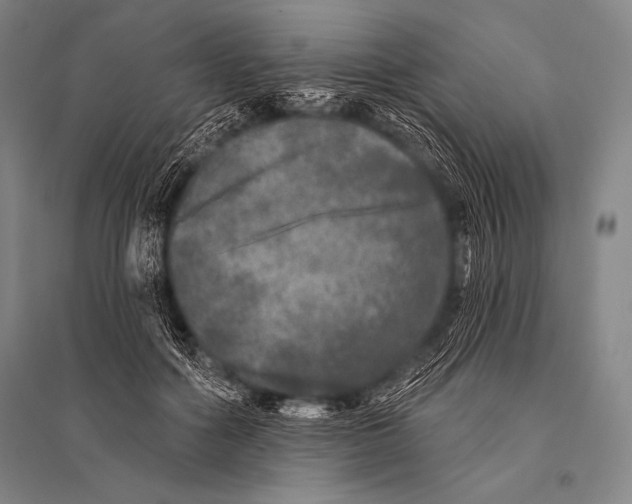 X0000094810602200712141624