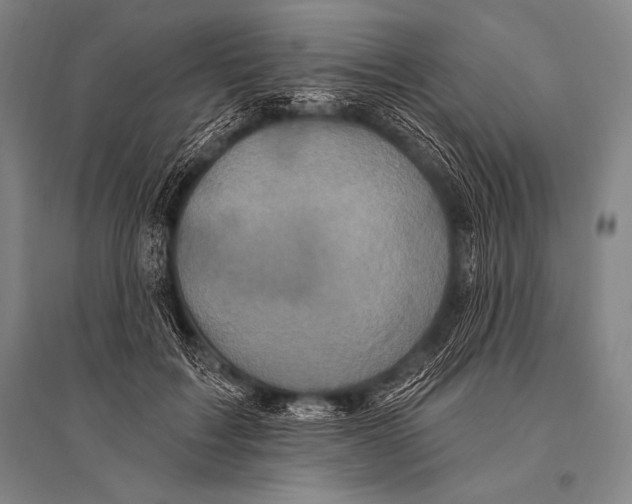 X0000094810603200712141624