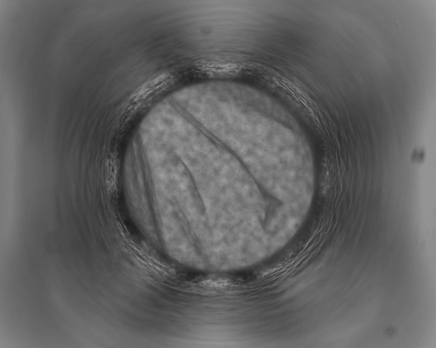 X0000094810604200712141624