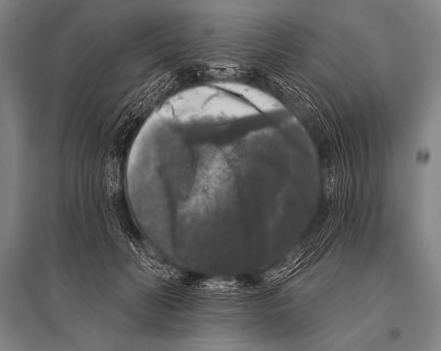 X0000094810606200712141624