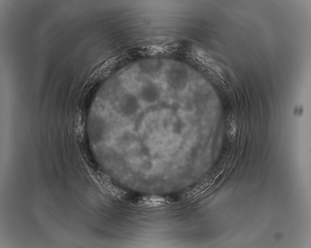 X0000094810607200712141624