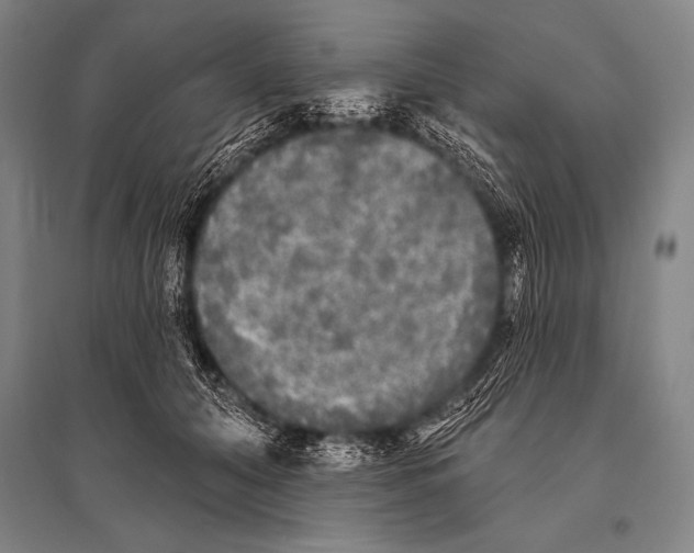 X0000094810608200712141624