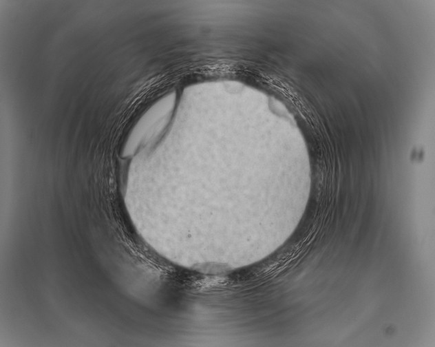 X0000094810609200712141624