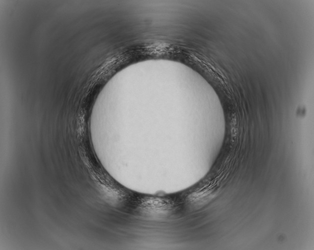 X0000094810611200712141624