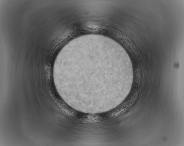 X0000094810612200712141624