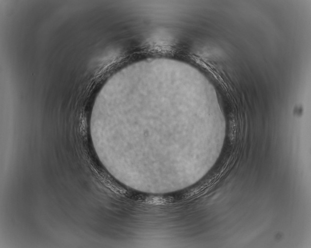 X0000094810613200712141624