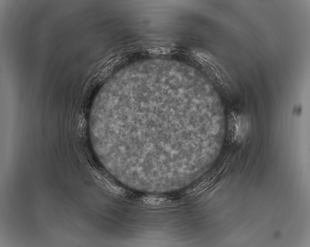 X0000094810614200712141623