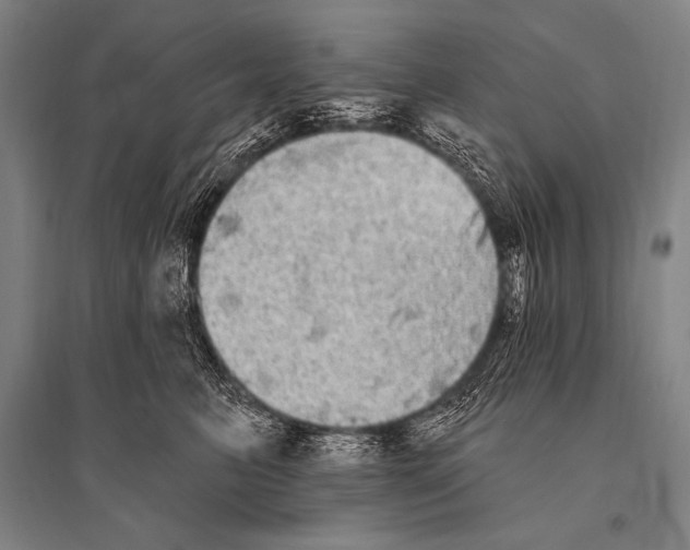 X0000094810615200712141623