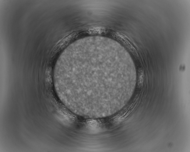 X0000094810616200712141623