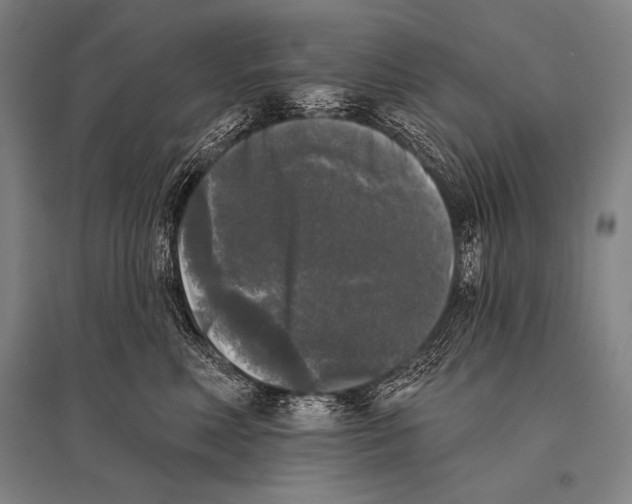 X0000094810618200712141623