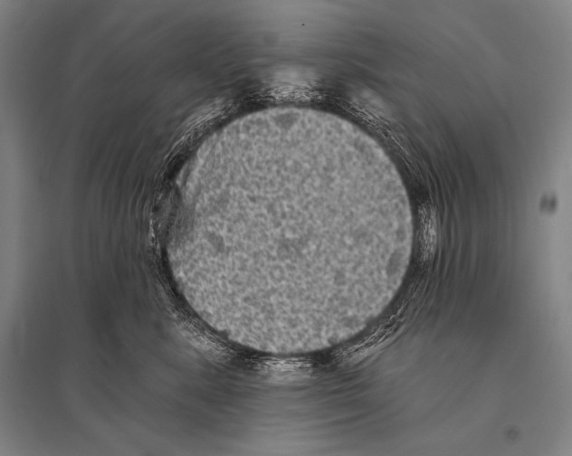 X0000094810619200712141623