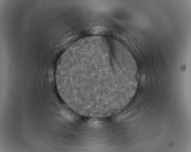 X0000094810620200712141623