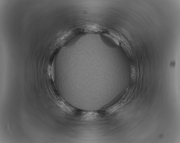 X0000094810621200712141623