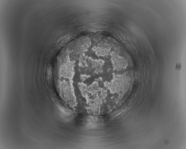 X0000094810623200712141623