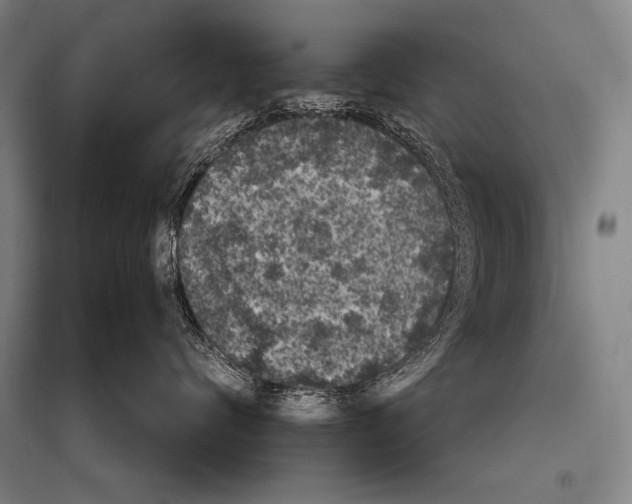 X0000094810624200712141623